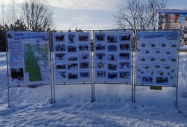 Охота - мир мужских увлечений 